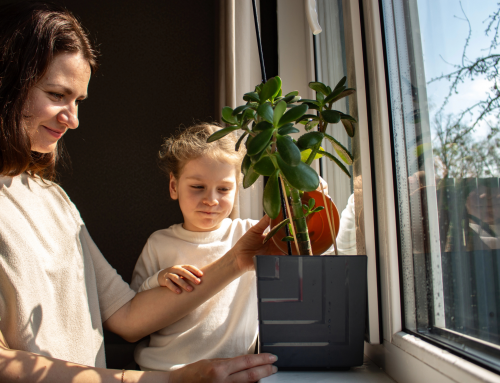 Supporting the Autistic Nervous System Naturally