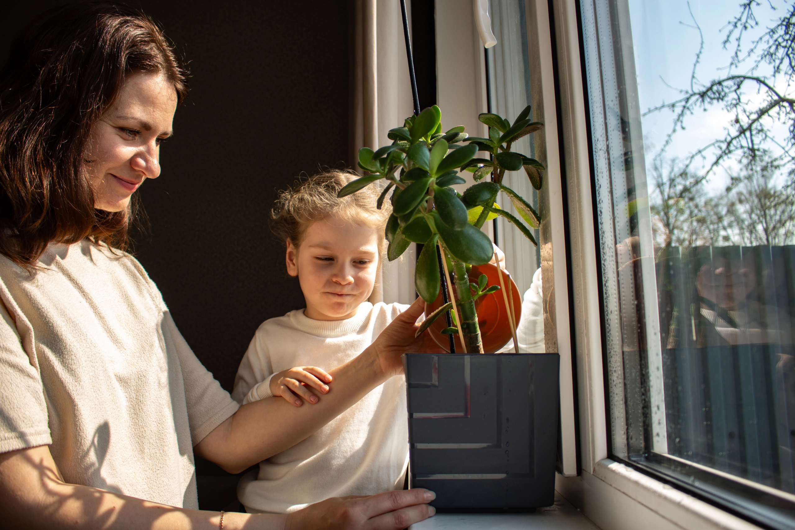 Supporting the autistic nervous system naturally โ functional medicine approach