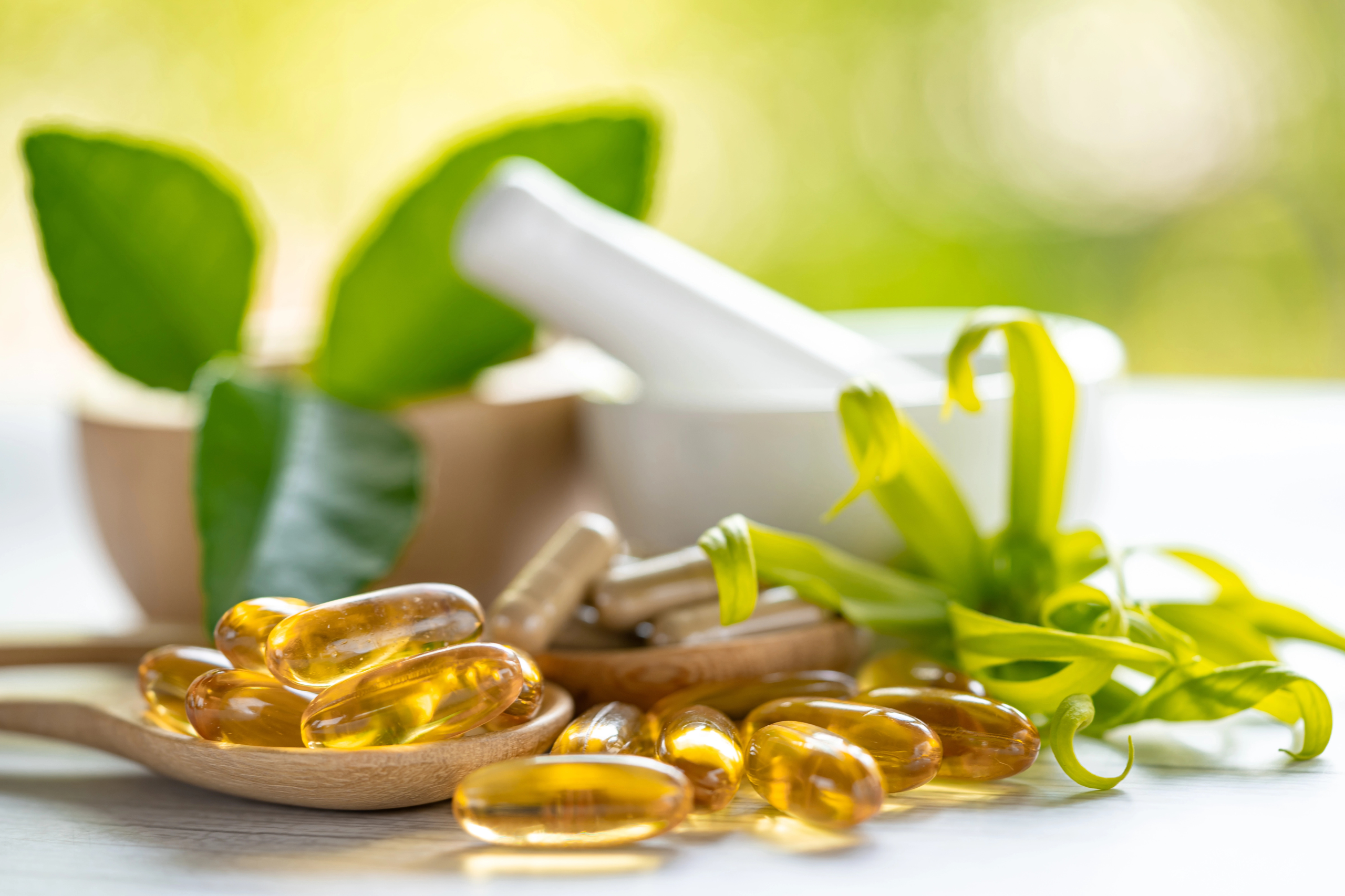 Choline and magnesium — herbal and nutritional support for brain, hormones, and detox