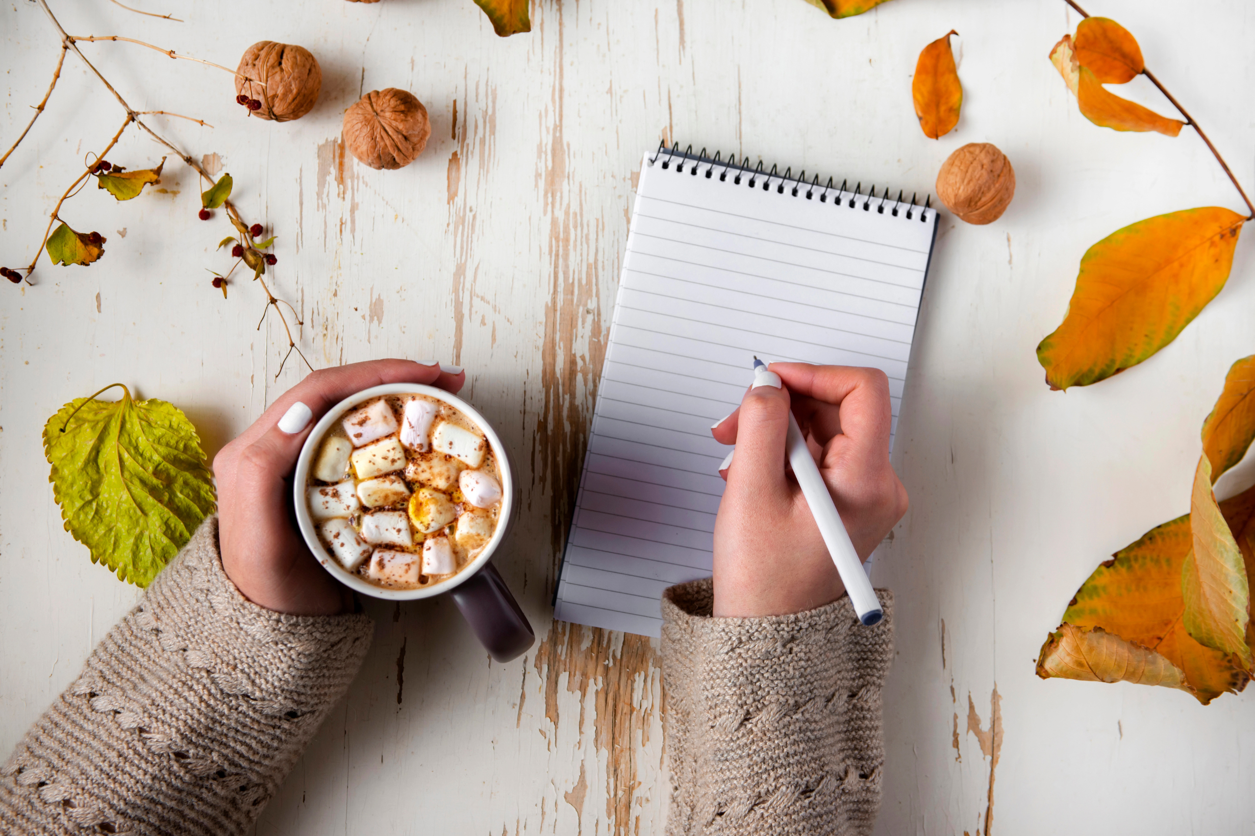 Supporting your body through the follicular phase — cycle awareness and seasonal wellness